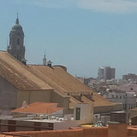 Vive Malaga